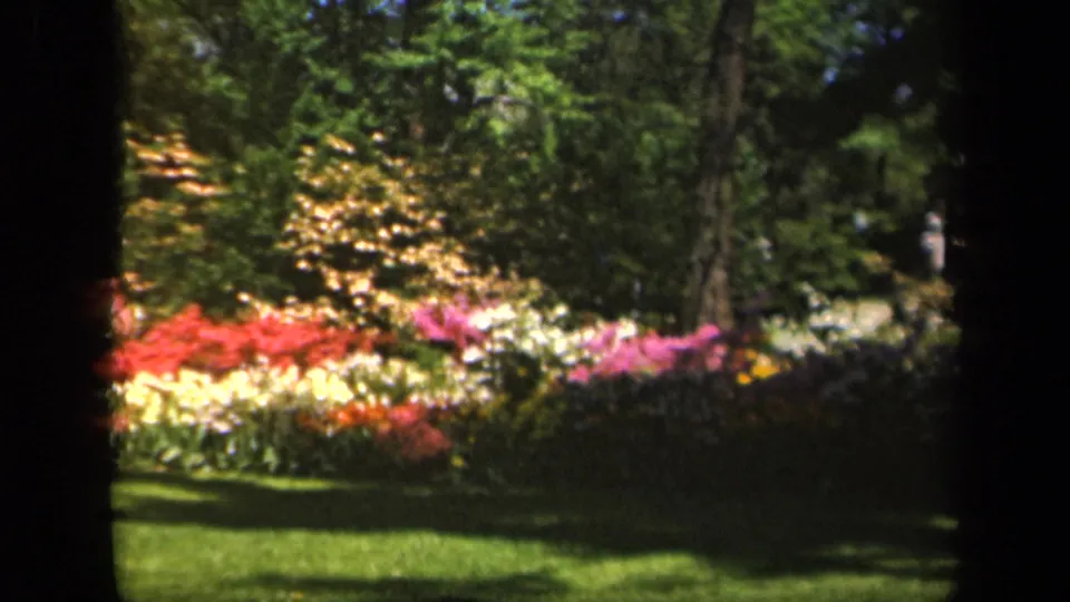 1943 Baltimore frame showing a bright garden bed, shaded lawn, and trees with visible 8mm softness.