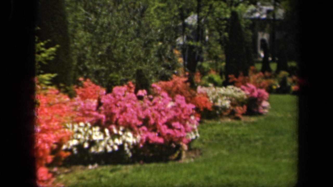 Flower beds with pink, red, and white blooms beside a green lawn and trees.