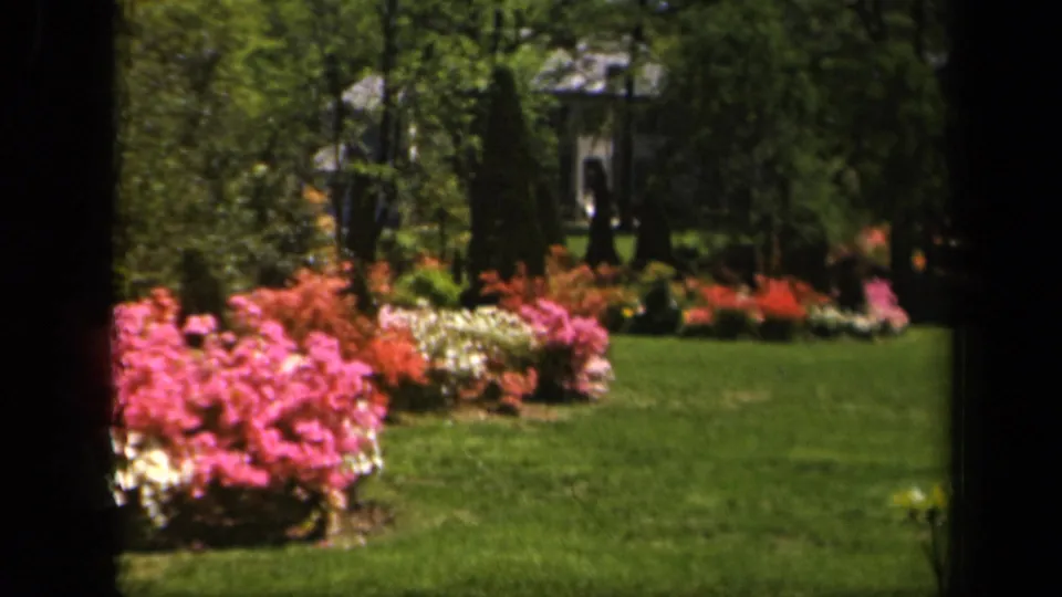 1943 Baltimore 8mm garden frame with azaleas, lawn, trees, and a distant dark figure or object near the background structure.