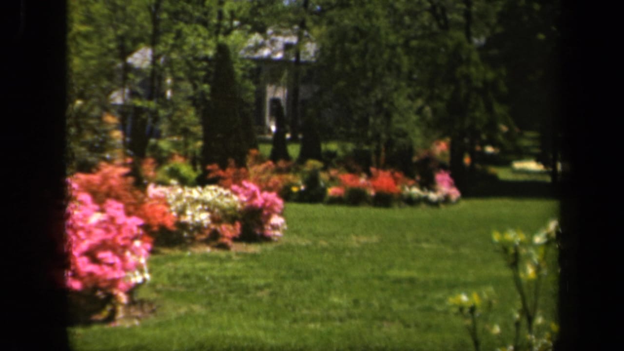 Bright 1943 garden scene in Baltimore, showing colorful spring shrubs, a clipped lawn, trees, and a distant pale building or garden structure.