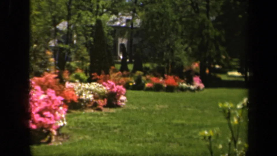 Bright 1943 garden scene in Baltimore, showing colorful spring shrubs, a clipped lawn, trees, and a distant pale building or garden structure.
