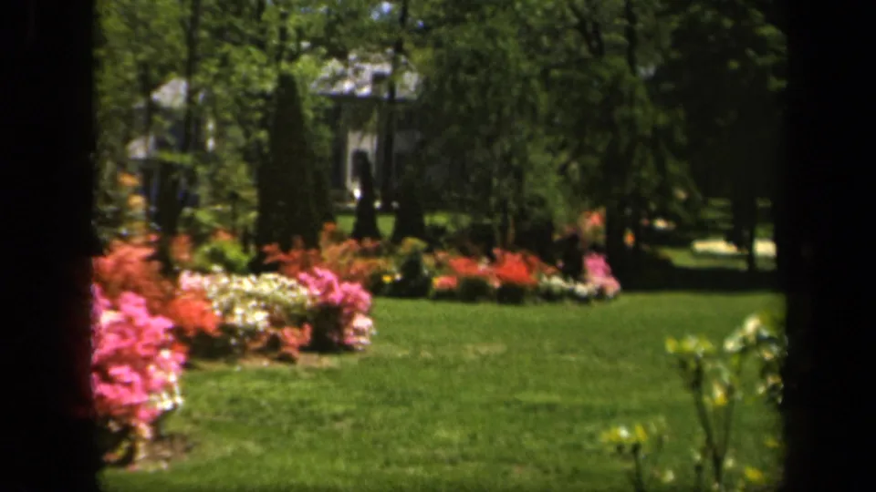 Baltimore 1943 home-movie frame of a landscaped garden, with vivid flowering shrubs, open lawn, shaded trees, and dark framing at the sides.
