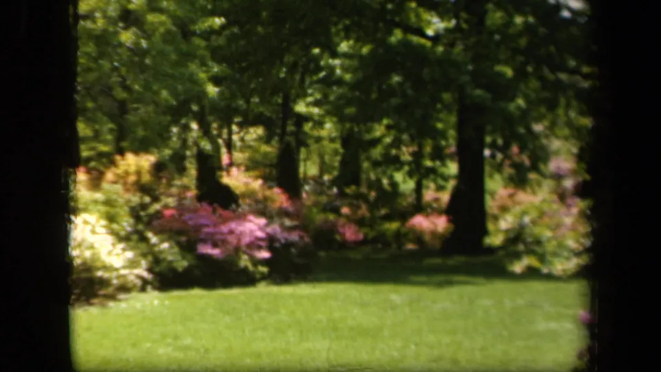 1943 Baltimore 8mm frame of a garden lawn bordered by flowering shrubs and shaded woodland foliage.