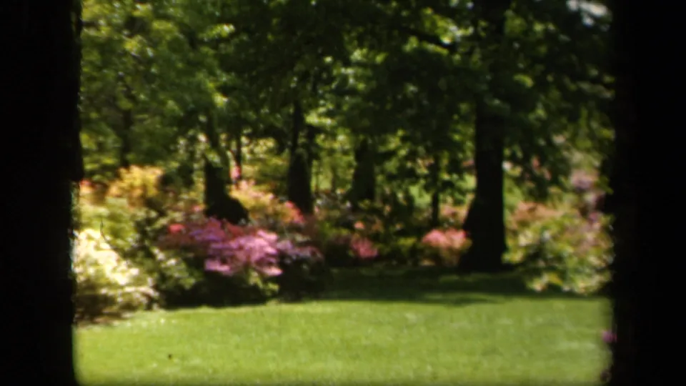 1943 Baltimore home-movie still showing a grassy garden, pink shrubs, and trees with soft 8mm color and border edges.