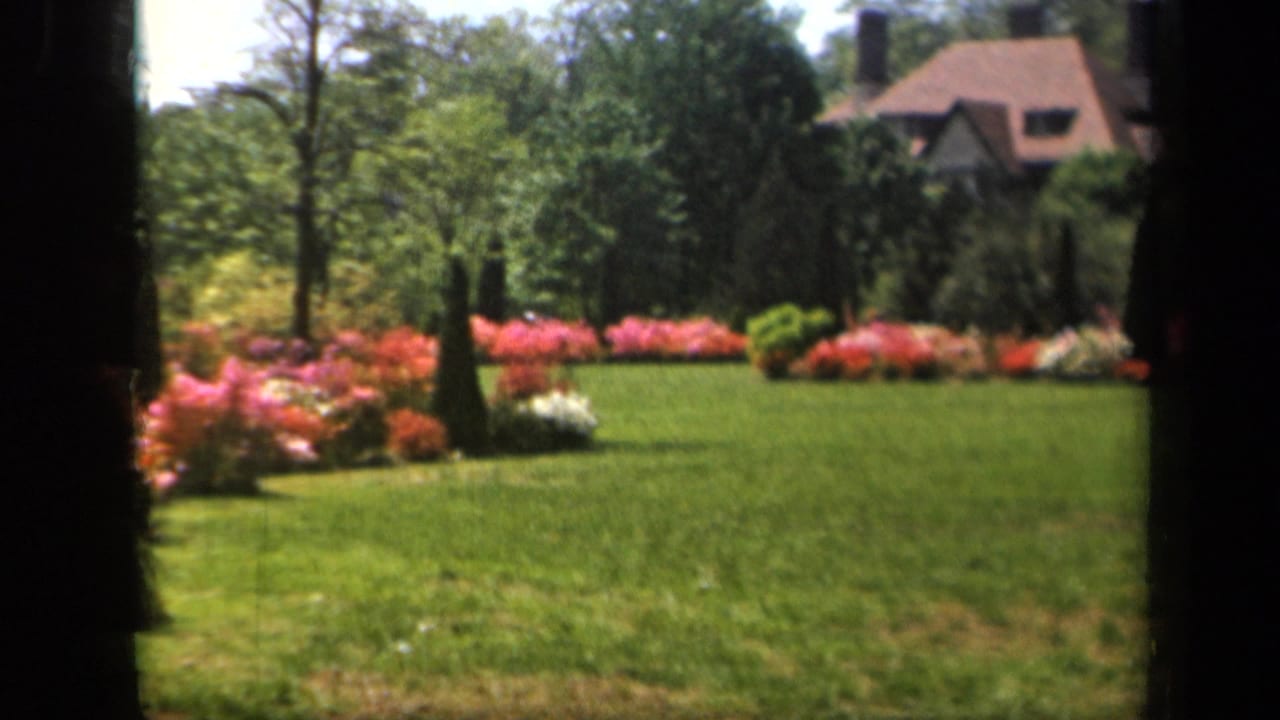 1943 Baltimore home-movie frame showing a green lawn, colorful garden shrubs, mature trees, and a distant house roofline.