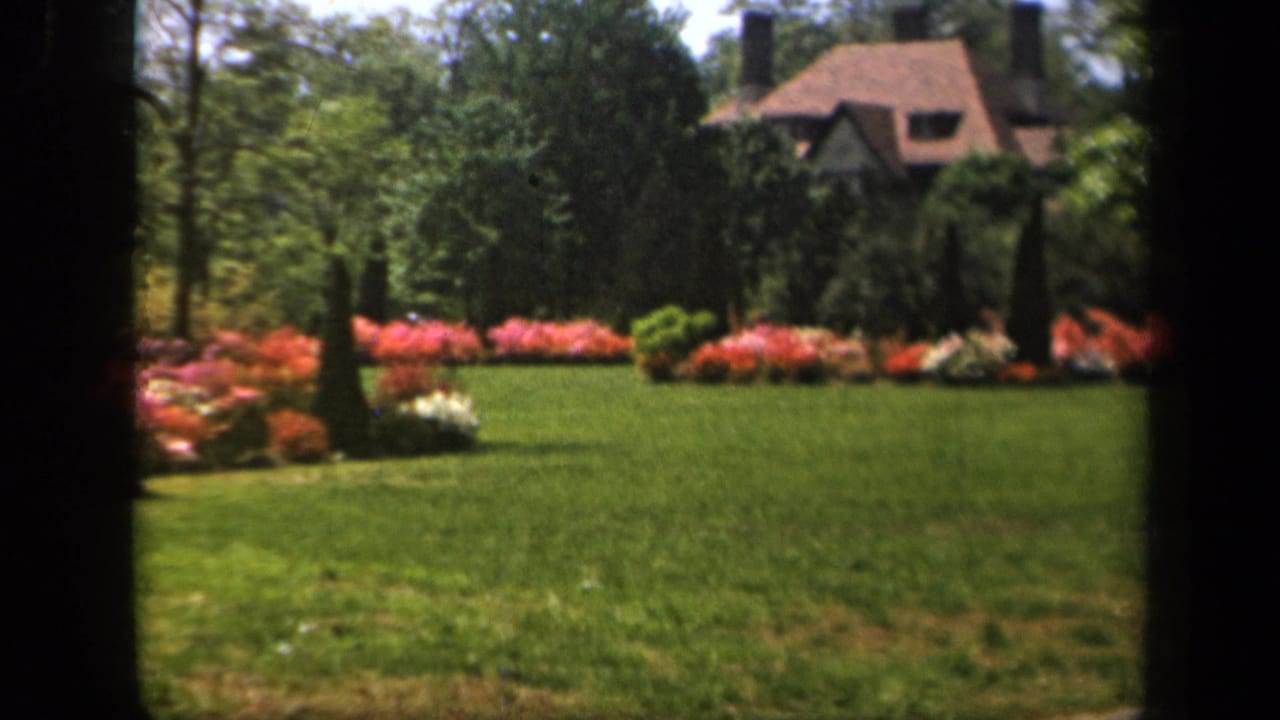 Garden lawn and flower beds with trees and a house partly visible in the background.