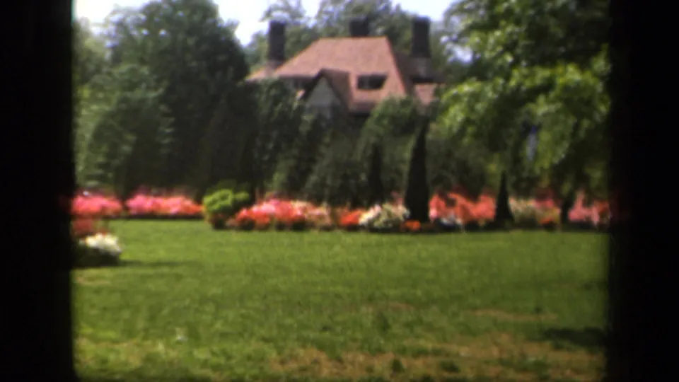 1943 Baltimore garden frame showing flowering shrubs across a green lawn, with trees and a distant house under bright sunlight.