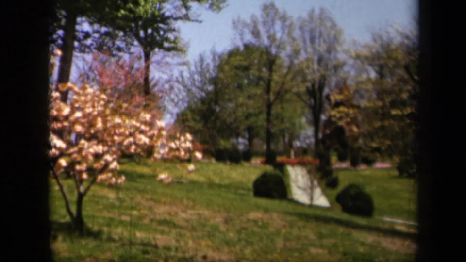 1943 Skyline Drive frame showing blossoms at left, open grass, mature trees, and a pale winding path or drive in the distance.