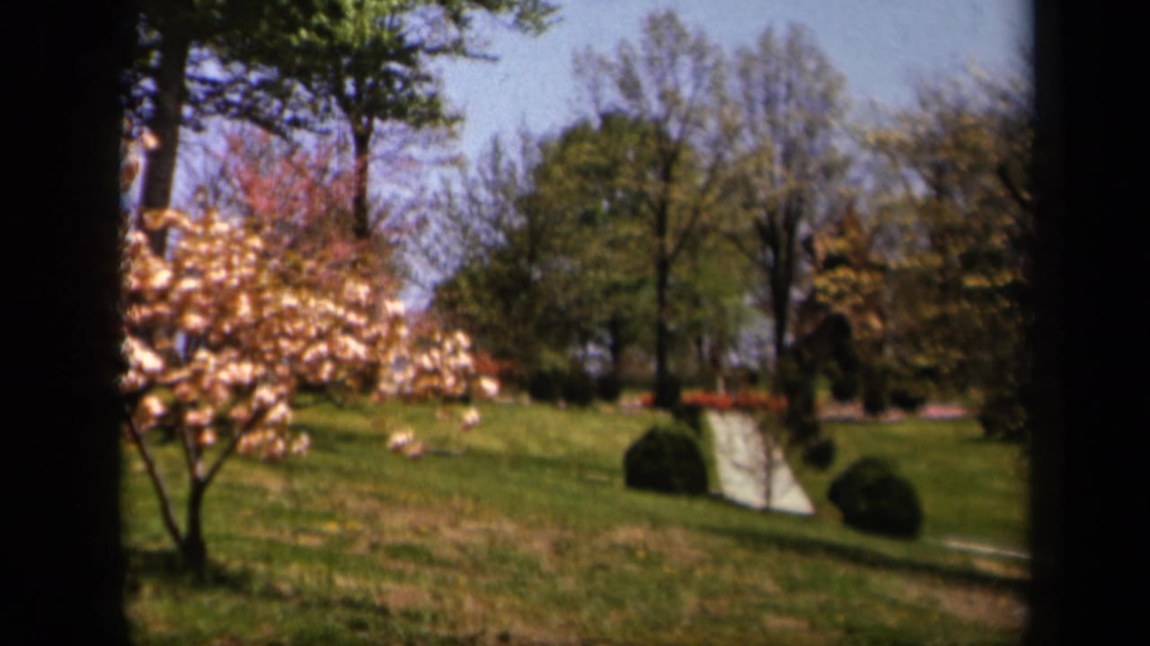 1943 Skyline Drive home-movie frame showing a grassy slope, pale path, trimmed shrubs, and pink-white blossoms.