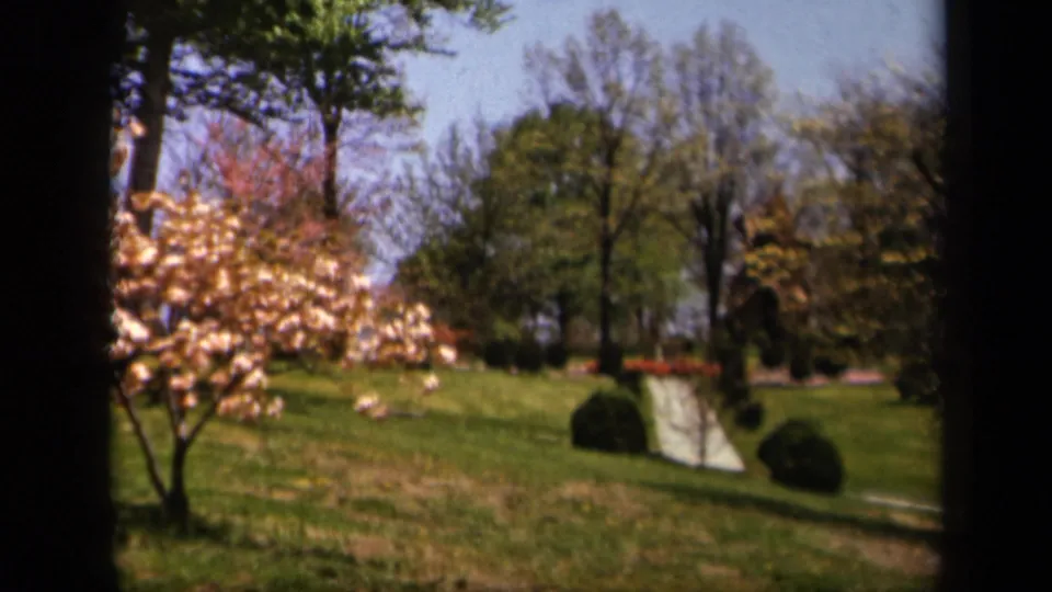 1943 Skyline Drive home-movie frame showing a grassy slope, pale path, trimmed shrubs, and pink-white blossoms.