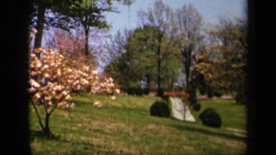 1943 Skyline Drive frame with blossoming branches, manicured grass, dark shrubs, and a curving pale path.