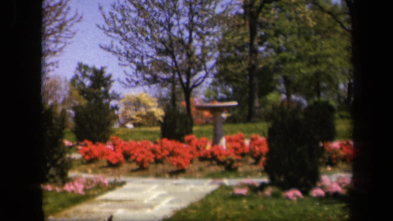Garden path leading toward a stone birdbath with red flowers, lawn, shrubs, and trees.