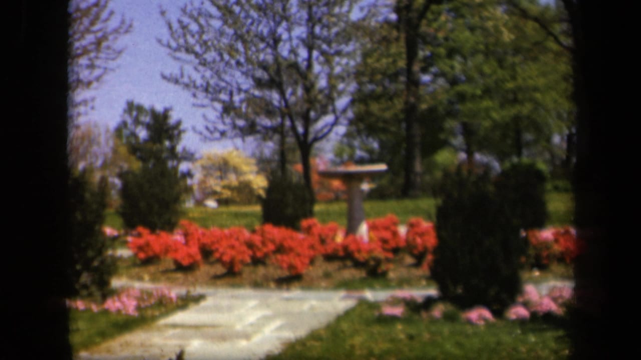 Skyline Drive garden scene on 8mm film, showing a stone path and birdbath framed by red flowers, shrubs, lawn, and trees.