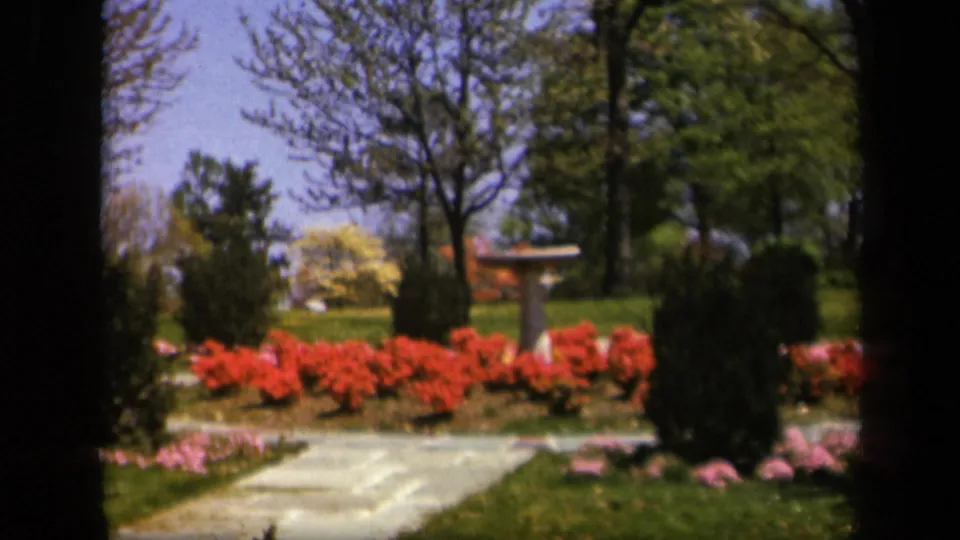 Skyline Drive garden scene on 8mm film, showing a stone path and birdbath framed by red flowers, shrubs, lawn, and trees.