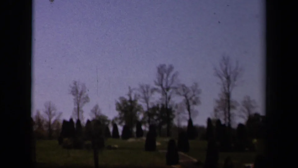 1943 Skyline Drive park view with planted conifers, bare trees, open grass, and a purple-blue sky on 8mm film.