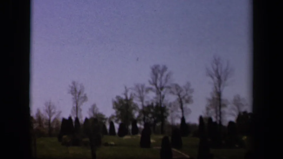 Skyline Drive home-movie frame showing an open landscaped park area with planted conifers and leafless trees.