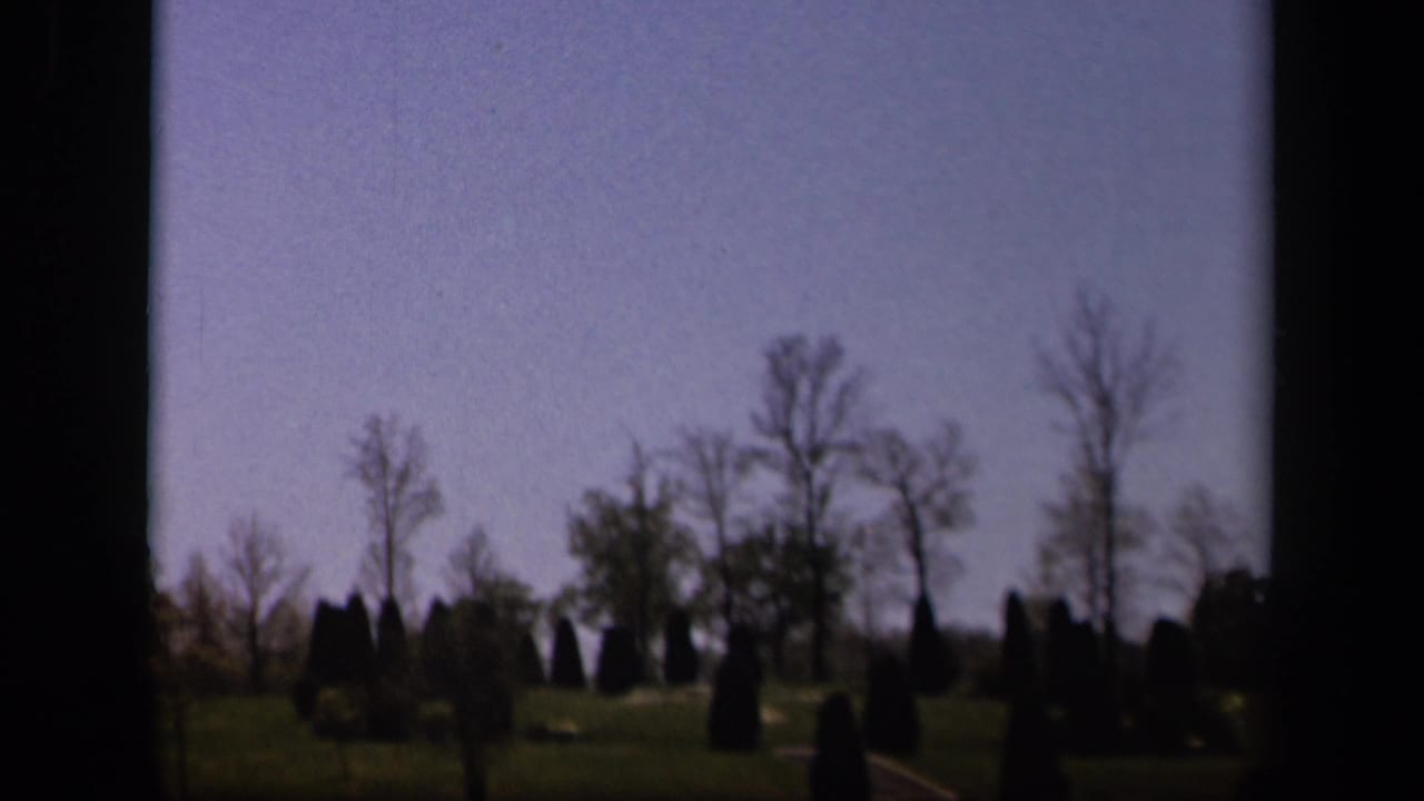 Dark-edged 8mm frame with a grassy hillside, bare trees, evergreen shrubs, and pale blue sky.