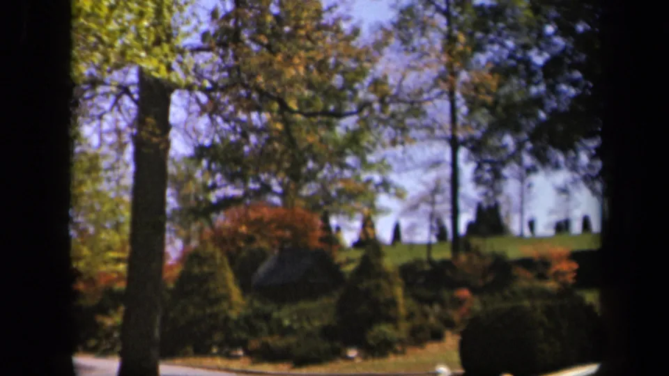 1943 Skyline Drive home-movie still with leafy branches, evergreen plantings, a grassy rise, and soft blue sky.