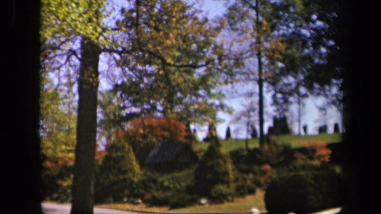 Skyline Drive-area landscape view with trees, shrubs, autumn color, and a dark vertical foreground edge.