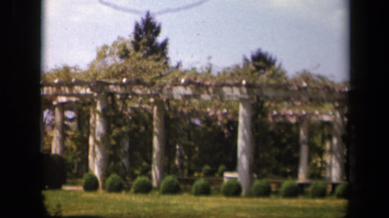 White garden pillars under a vine-covered pergola, with shrubs and lawn in front.