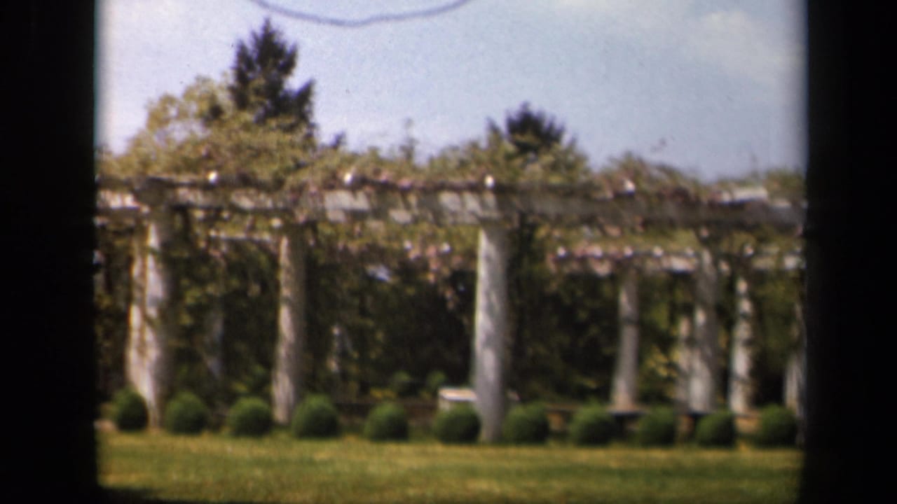 1943 Skyline Drive, Virginia frame with classical-style garden columns, dry vines, rounded shrubs, lawn, and dark scan borders.