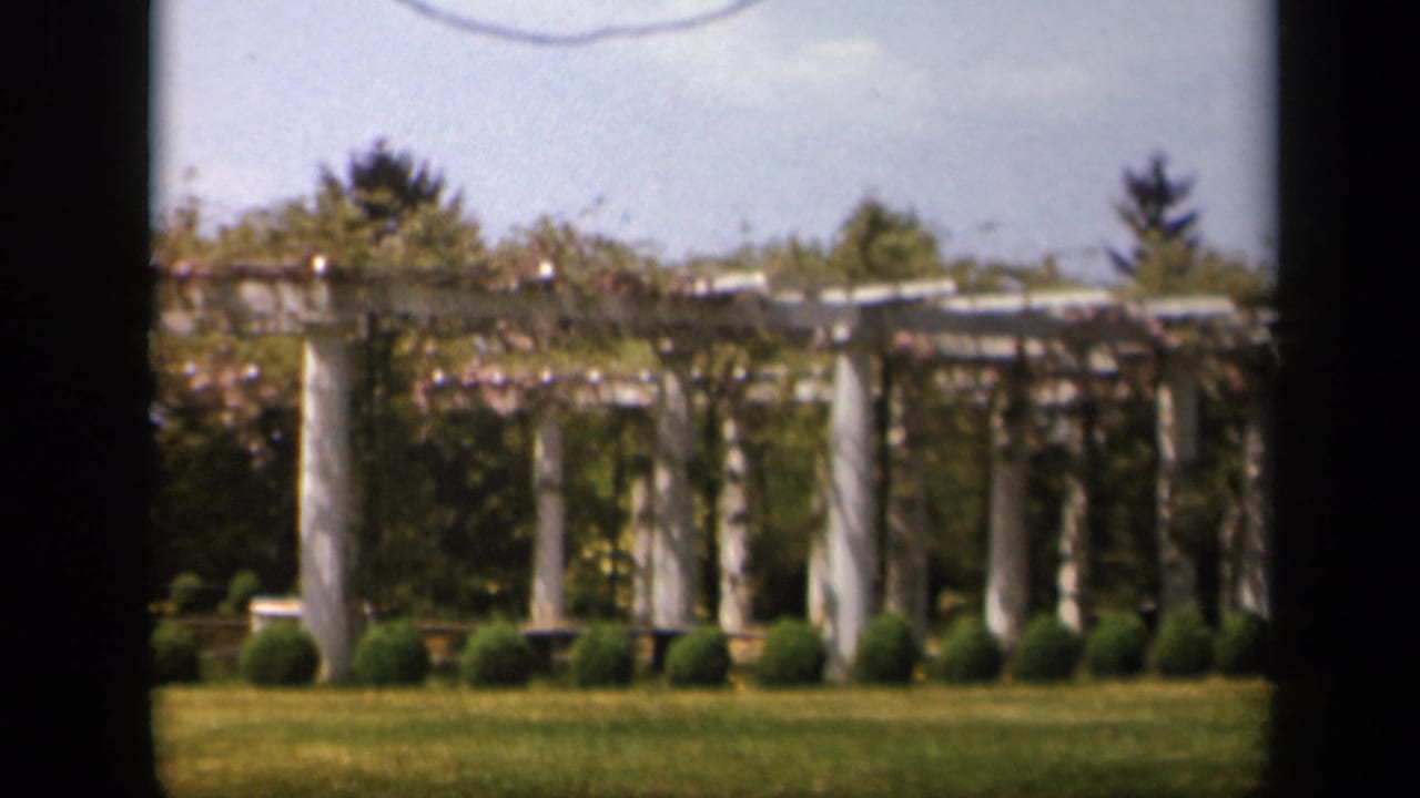 White pergola with columns beyond a lawn and trimmed shrubs.