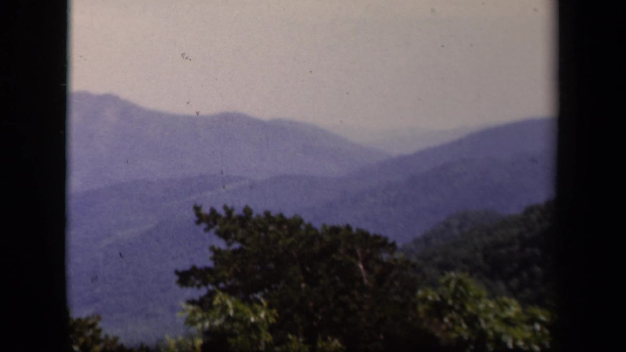 Skyline Drive landscape view with hazy blue ridges, muted sky, and treetops along the lower frame.