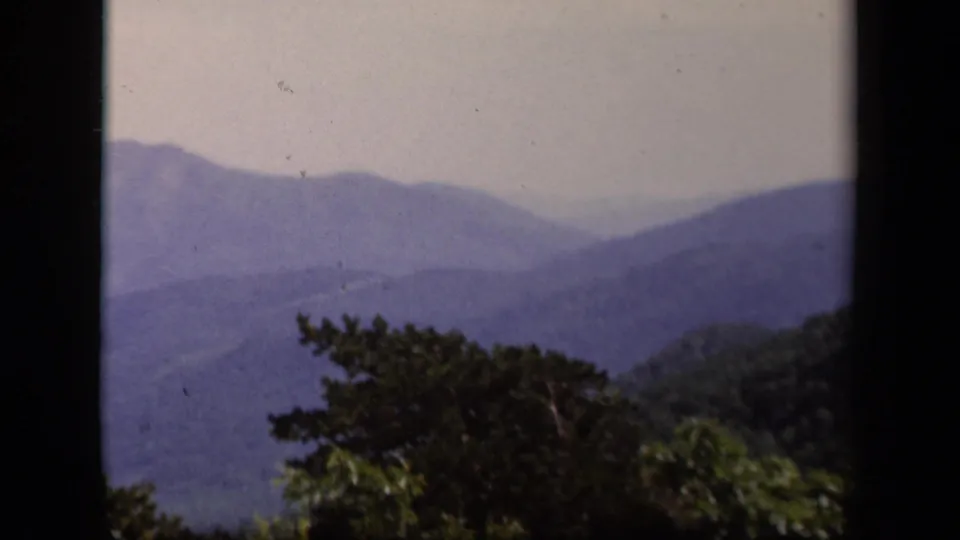 Skyline Drive landscape view with hazy blue ridges, muted sky, and treetops along the lower frame.
