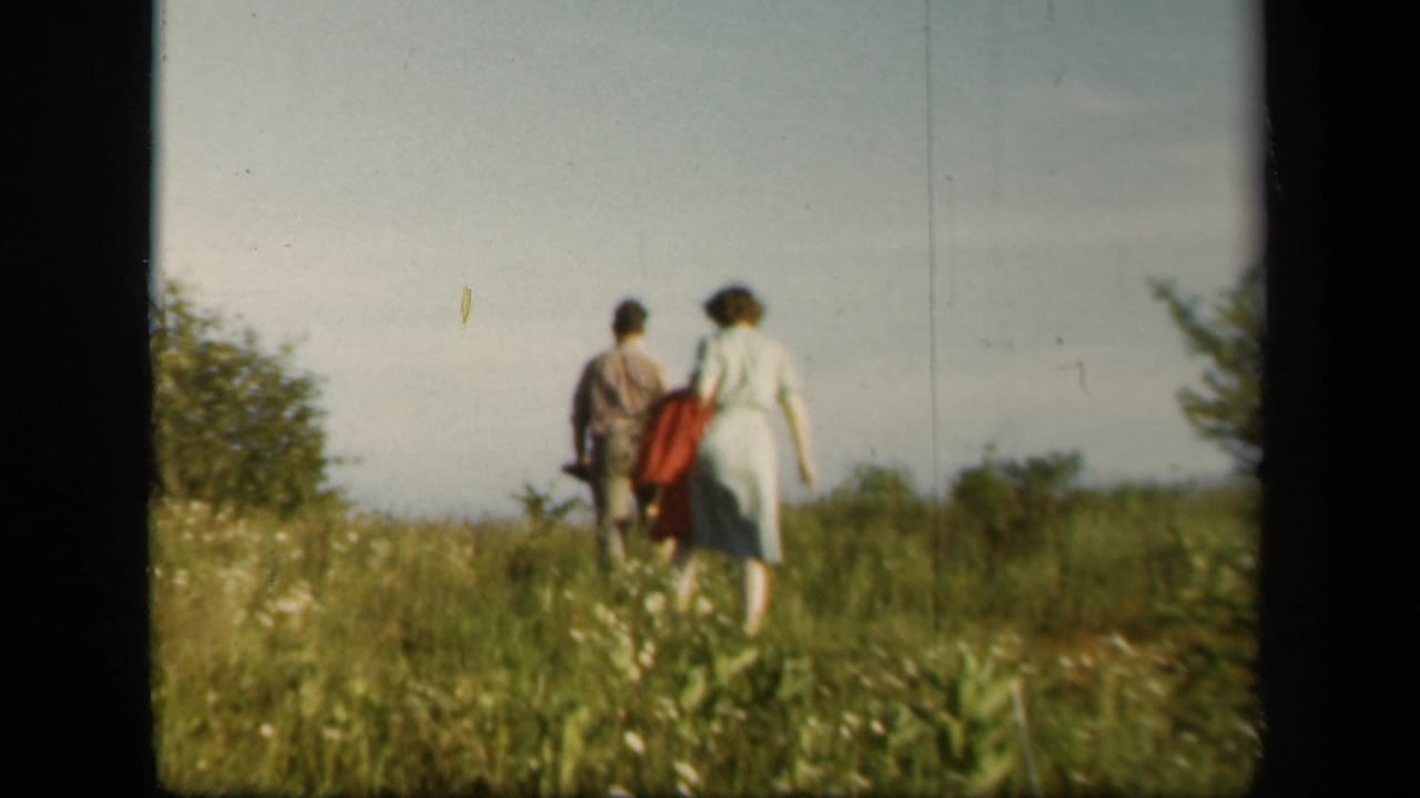 Two adults walk away through tall grass at Skyline Drive, Virginia, one carrying or wearing a red bag, in soft 1940s 8mm color.