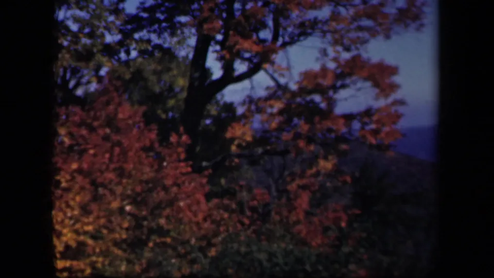A colorful autumn tree and distant Blue Ridge hills appear in the Skyline Drive home-movie sequence.