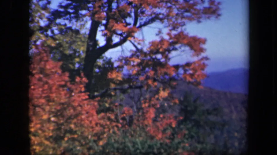Autumn foliage and distant mountains provide a scenic Virginia landscape view in the 1943 8mm clip.
