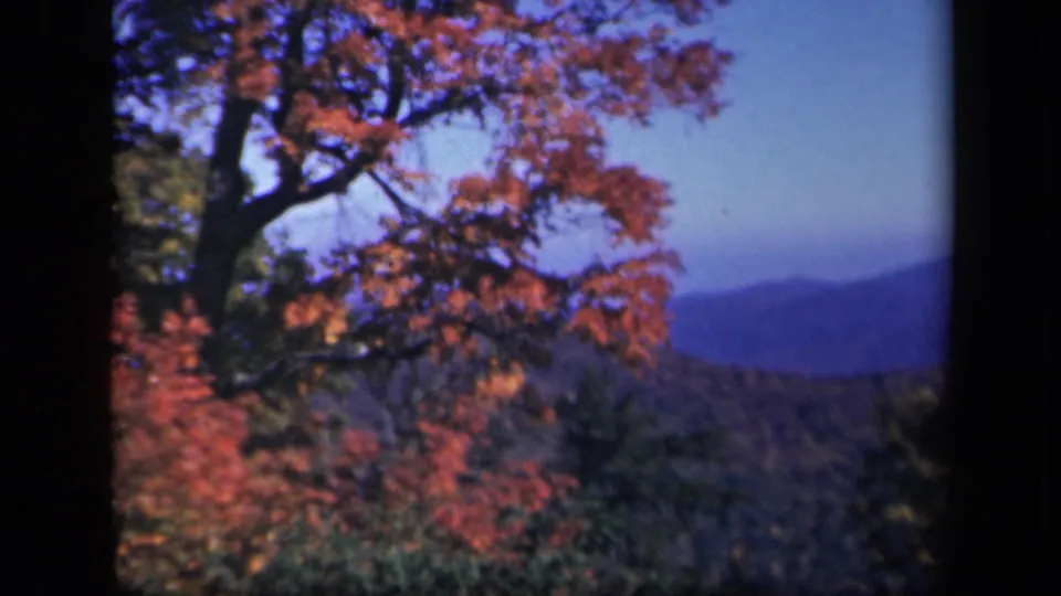 1940s 8mm frame from Skyline Drive showing fall-colored branches, a hazy ridge line, and wooded Blue Ridge terrain.