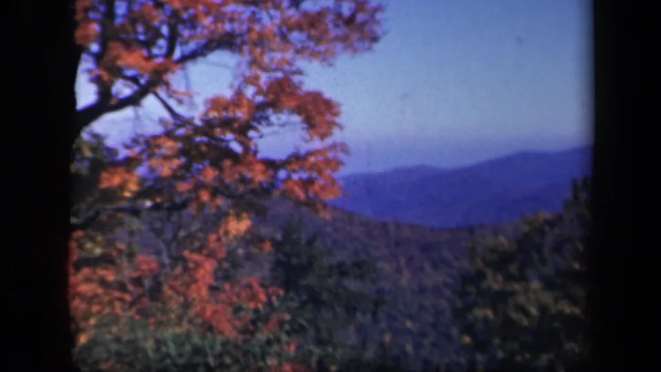 Skyline Drive autumn landscape with red-orange leaves, silhouetted branches, blue sky, and distant Virginia ridges.