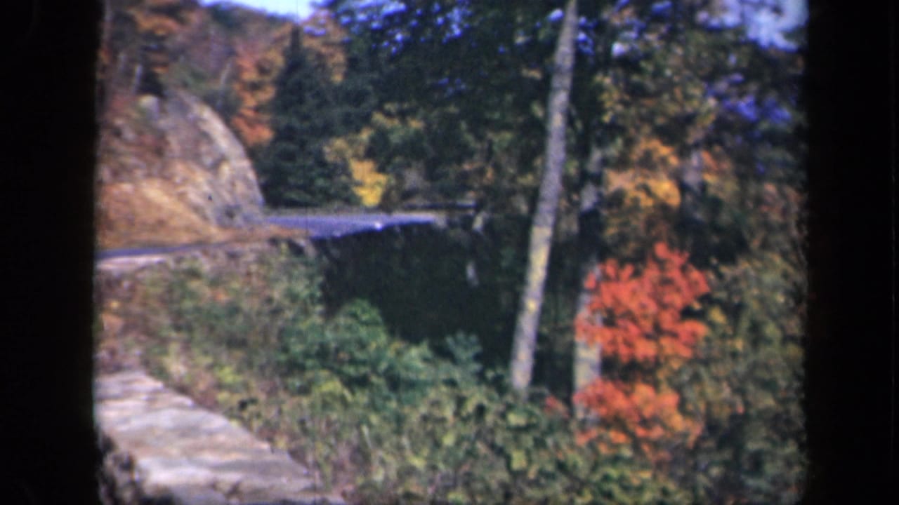 Autumn trees and stone roadside wall along a bend in the road.