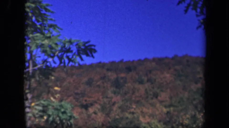 Skyline Drive home-movie view of an autumn-colored mountain slope with foreground tree branches and saturated blue sky.