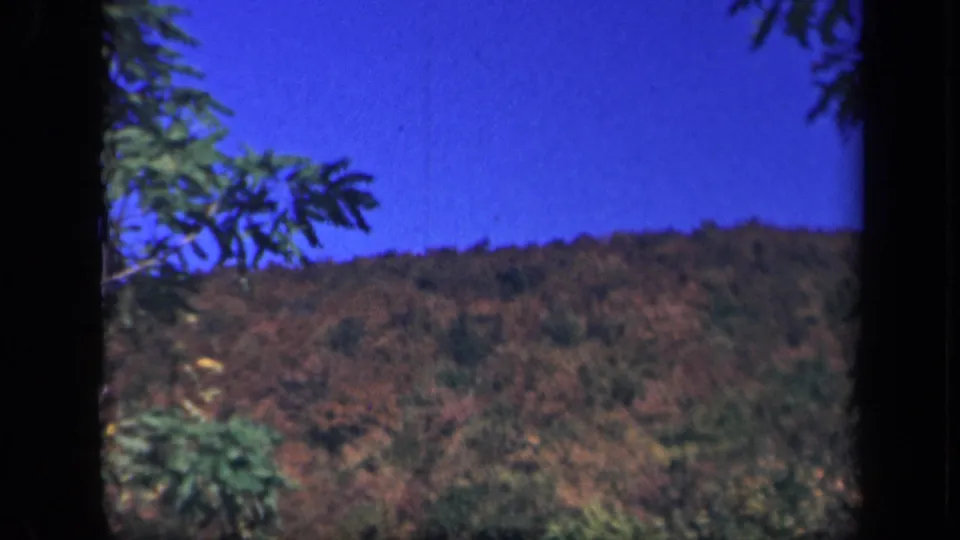 1943 Virginia mountain landscape frame showing a tree-covered slope in autumn tones with branches at the edge of the view.