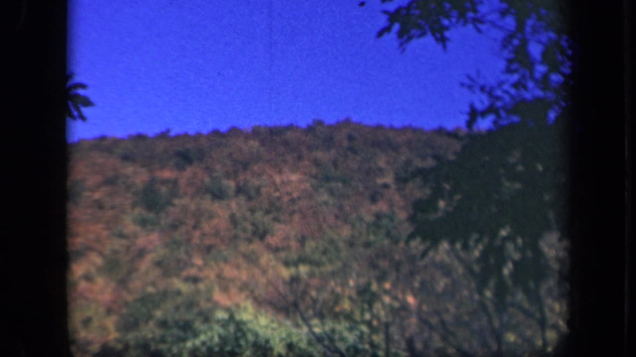 Color 8mm view of a Skyline Drive hillside with autumn-toned trees, blue sky, and a dark foreground trunk crossing the frame.
