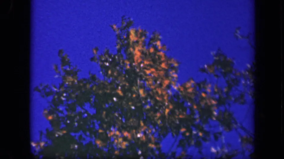 Vintage 8mm Skyline Drive view of autumn branches and leaves against a deep blue sky, with dark film borders visible.