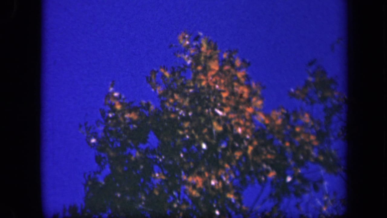 Autumn treetop and blue sky framed by dark film borders.