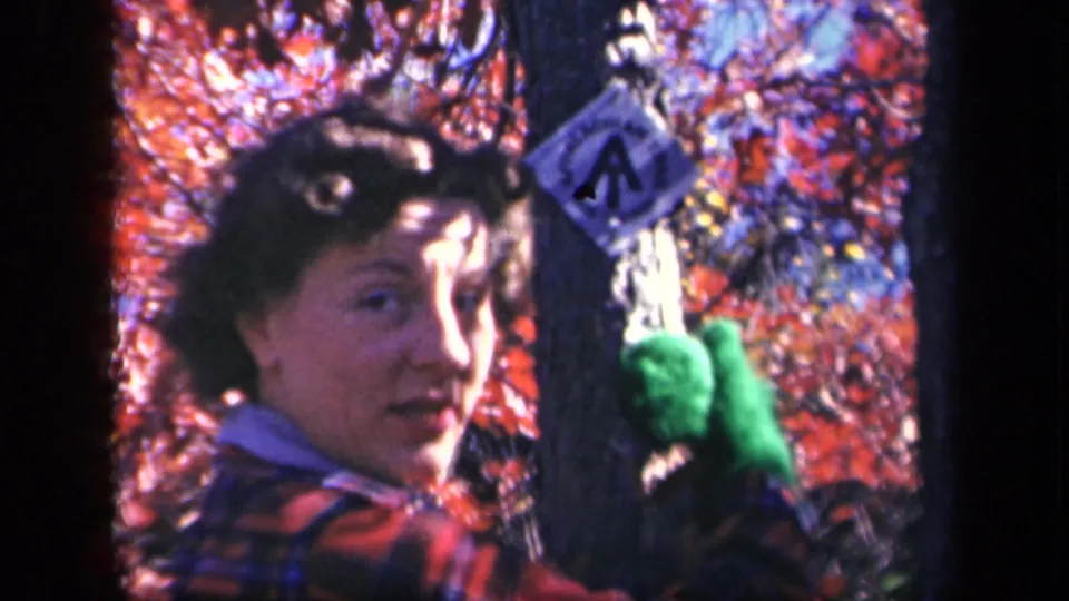 At Skyline Drive in 1943, a woman in a plaid jacket turns toward the camera while attaching a small sign to a tree.