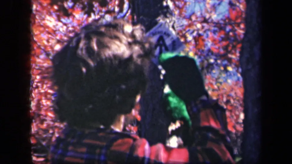 The woman faces the tree as she secures a small sign, with red-orange foliage around the Skyline Drive scene.