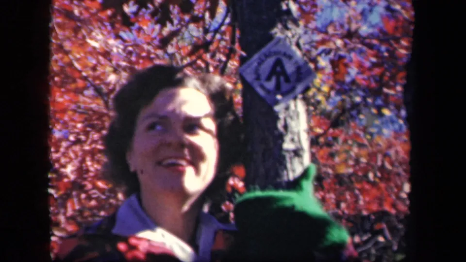 The woman looks up while standing by a marked tree at Skyline Drive, with vivid 1943 autumn foliage and a green glove in view.