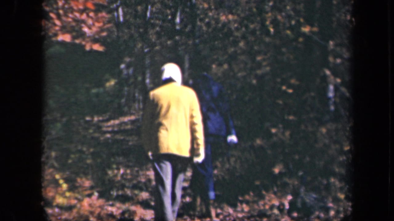 Two hikers walk away along a wooded trail with autumn leaves underfoot.