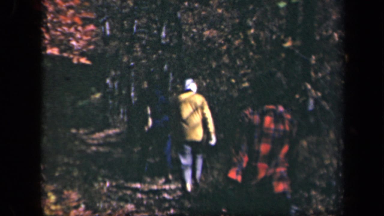 1943 Skyline Drive home-movie frame showing three hikers from behind on a leaf-strewn forest path in autumn light.