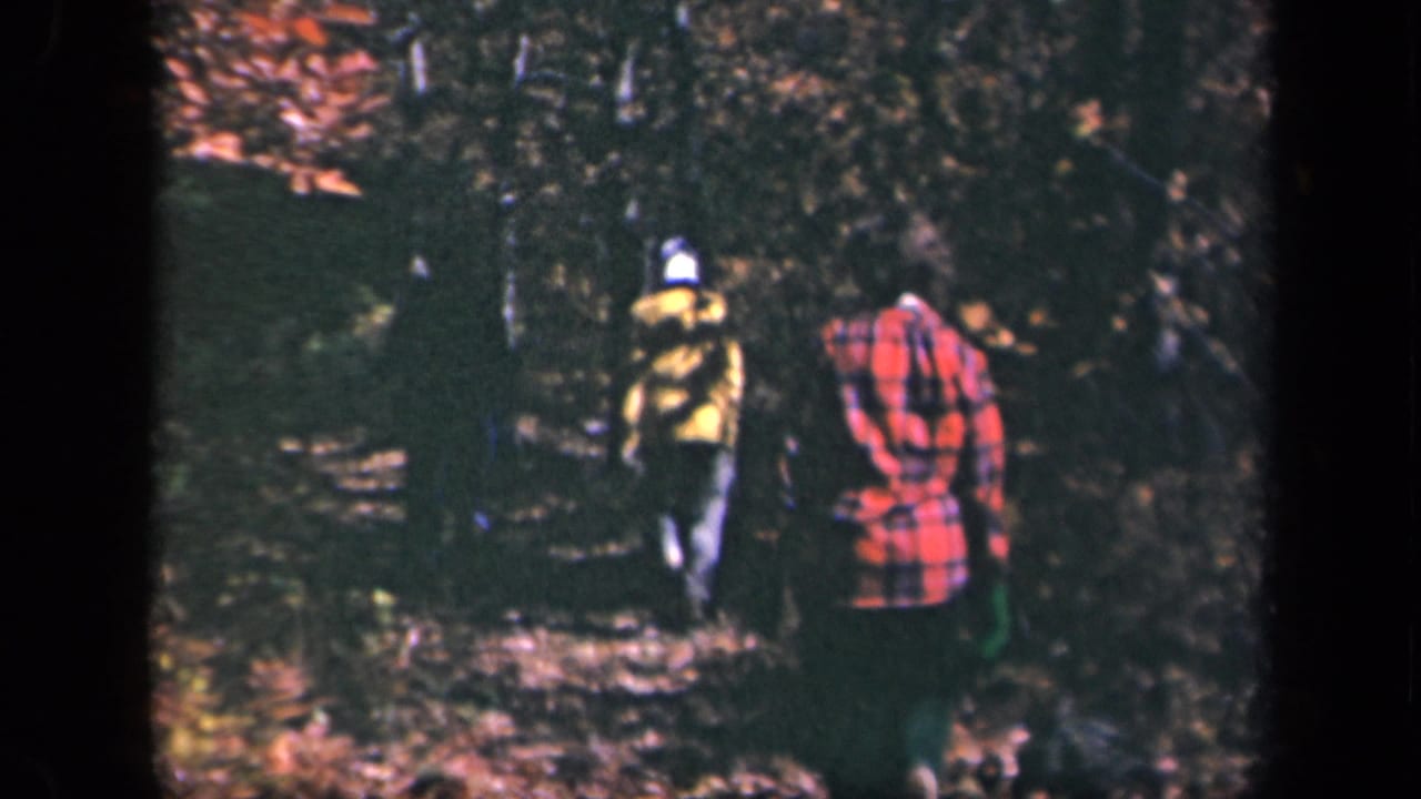Hikers continue along a narrow forest path beneath autumn trees and heavy shade.