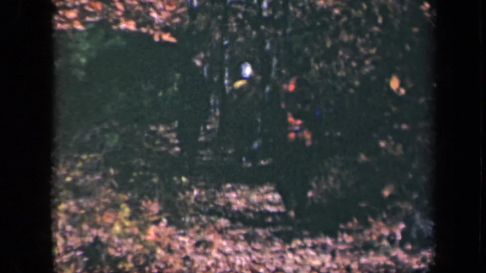 Final 1943 Skyline Drive frame shows the hikers receding into a dark, wooded trail with autumn leaves underfoot.
