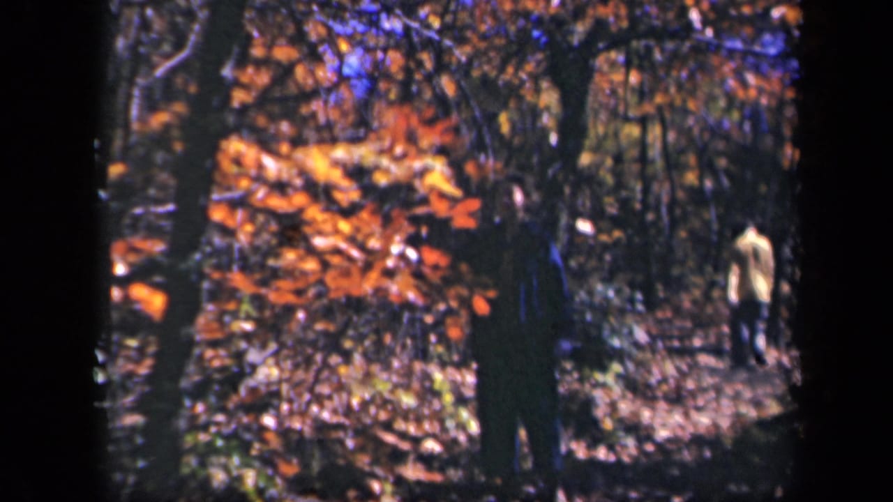 A light-shirted figure walks away through trees and fallen leaves.