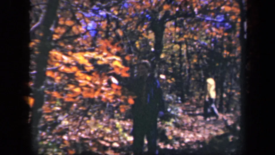 A dark-clothed adult appears near vivid orange foliage while another distant figure moves through the woods.