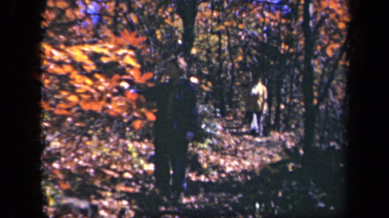 Distant hikers move through orange-leafed woods in archival 8mm footage from Skyline Drive, Virginia.