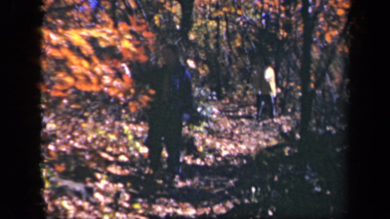 Distant walkers among trees and fallen leaves in an autumn forest.